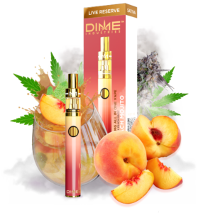 Dime Disposable - PEACH MOJITO